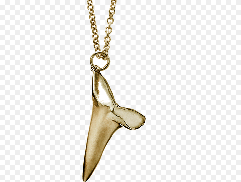 Free Rapper Gold Chain Shark Tooth Necklace Full Transparent Shark Necklace, Accessories, Jewelry, Pendant, Blade Png Image