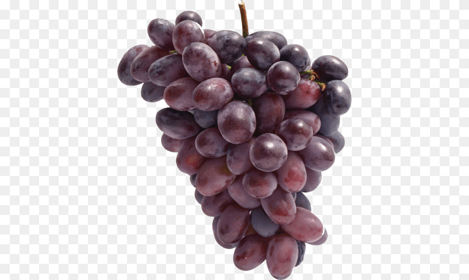 Red Grapes Vinograd, Food, Fruit, Plant, Produce Free Transparent Png