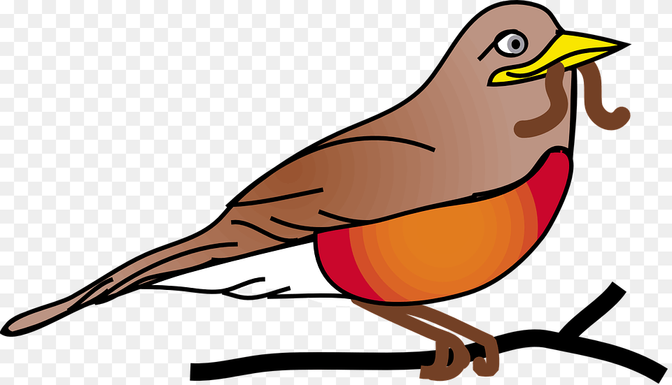 Robin U0026 Bird Illustrations Pixabay Robin Clipart, Animal, Beak, Finch Free Transparent Png