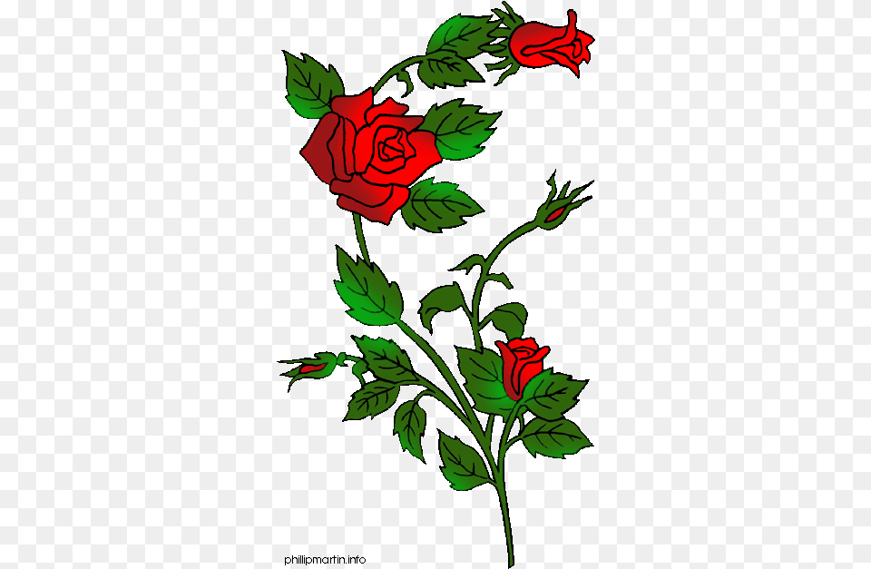 Rose Bush Download Clip Art Flower Rose Embroidery Designs, Pattern, Plant, Floral Design, Graphics Free Transparent Png