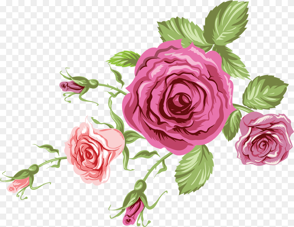 Free Rose Konfest Floribunda, Art, Flower, Graphics, Pattern Png Image