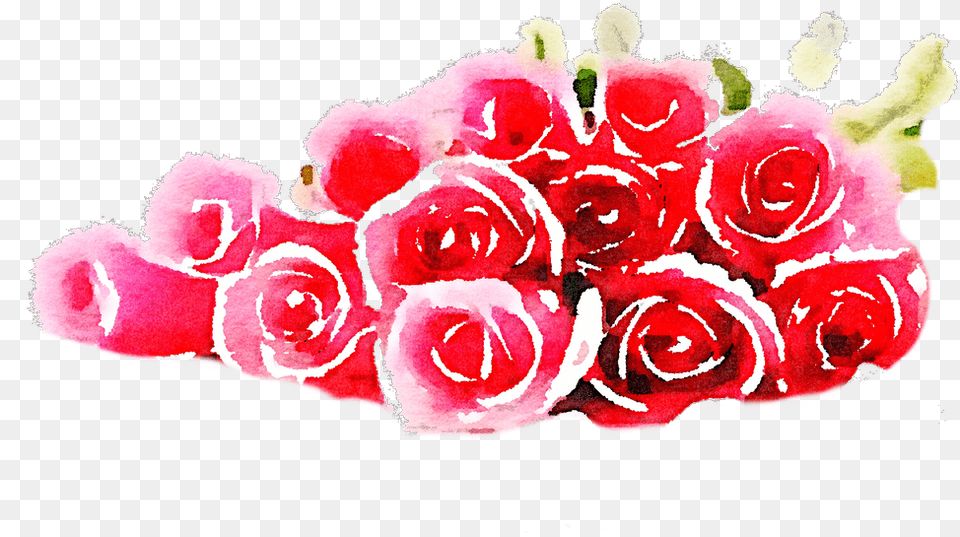 Roses Pile, Rose, Plant, Flower, Flower Arrangement Free Png Download