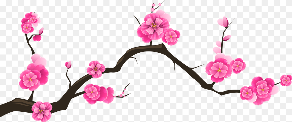 Rustic Flower Clipart Cherry Blossom Cherry Blossom Branch, Plant, Petal, Cherry Blossom Free Transparent Png