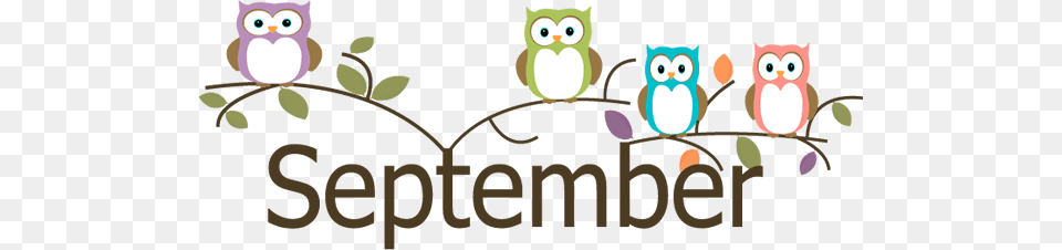 September Programs With Your Bedfordsackville Community, Animal, Bird Free Transparent Png