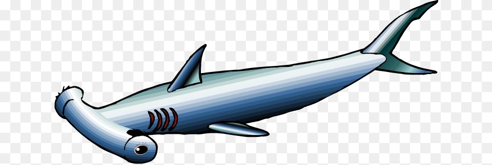 Free Shark Clipart, Animal, Sea Life, Fish, Aircraft Png