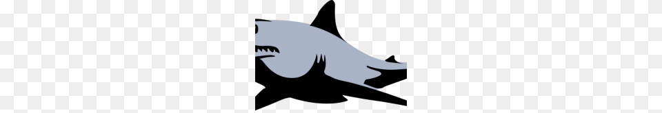 Free Shark Clipart Shark Clip Art, Stencil, Animal, Sea Life, Fish Png Image