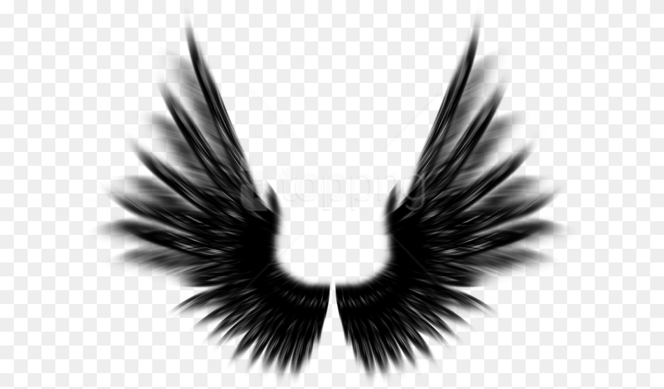 Free Shield With Wings Image With Transparent Black Angel Wings Photoshop, Emblem, Symbol, Animal, Bird Png