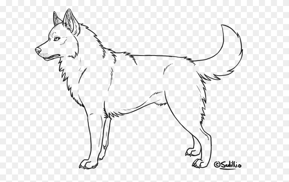 Siberian Husky Lineart By Sedillo Siberian Husky Color Sheets, Silhouette, Animal, Mammal, Person Free Png Download