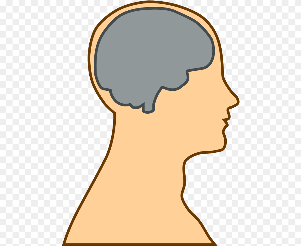 Simple Brain Silhouette Cartoon Head With Brain, Body Part, Face, Neck, Person Free Png