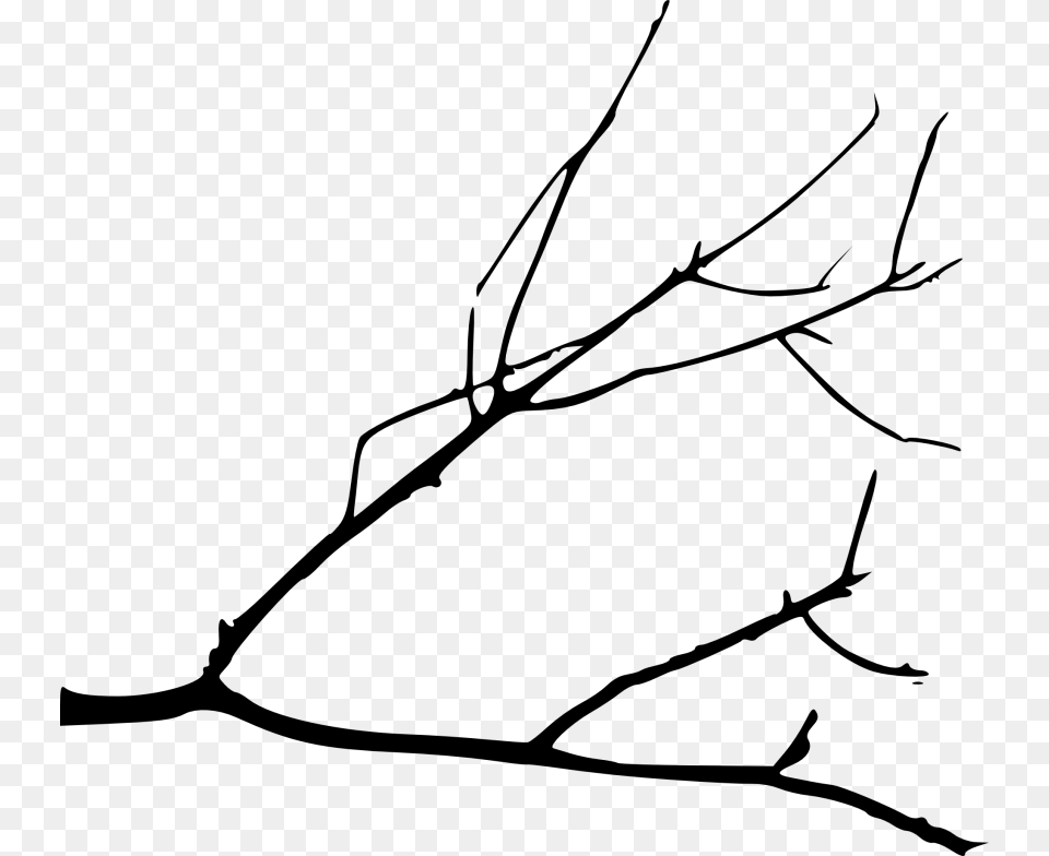 Free Simple Tree Branch Transparent Drawing Of A Branch, Leaf, Plant, Bow, Weapon Png