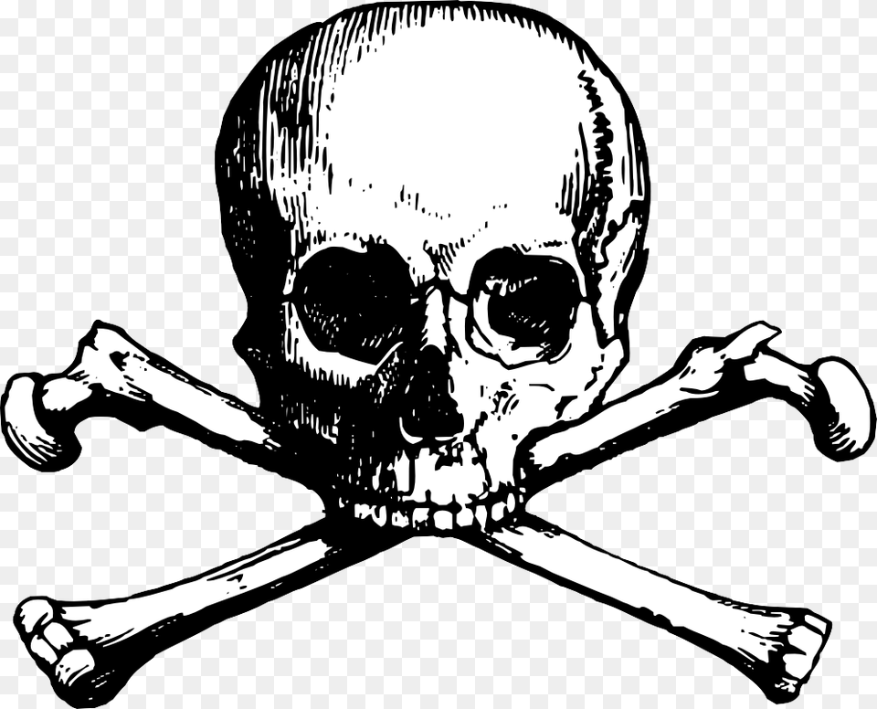 Skull Clipart Skull N Bones, Adult, Male, Man, Person Free Png