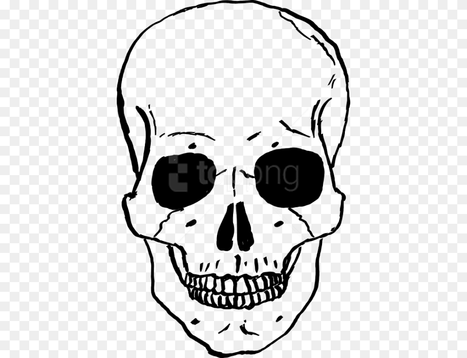 Free Skulls Transparent Human Skull Cartoon, Stencil Png Image