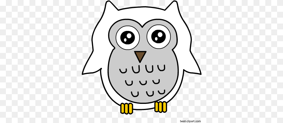 Snowy Owl Clipart Cartoon, Animal, Bird, Baby, Person Free Png Download