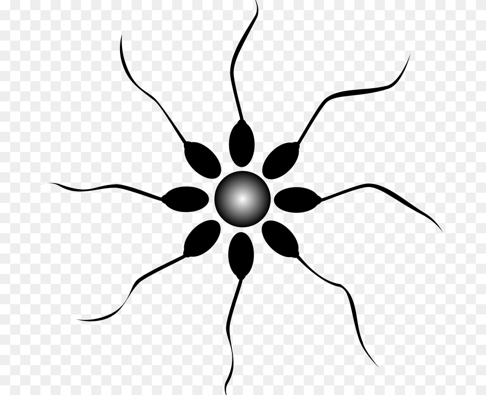 Free Sperm Vector Free Download On Heypik, Nature, Night, Outdoors, Sphere Png Image