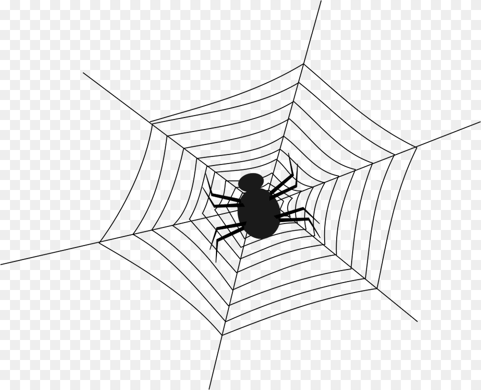 Spider Spider In The Web Free Transparent Png
