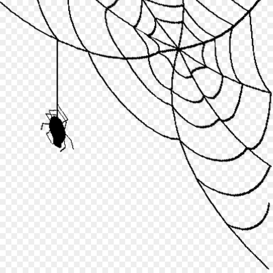 Spider Web Clipart, Gray, Outdoors Free Png Download