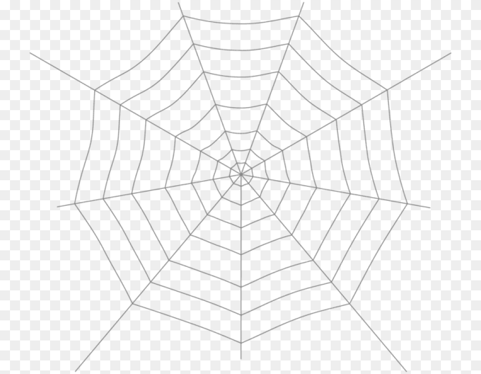 Spider Web Images Transparent, Spider Web, Animal, Reptile, Sea Life Free Png
