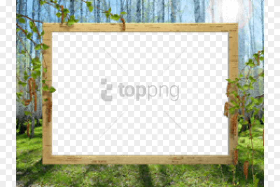 Spring Border Image With Transparent Picture Frame, Outdoors, Woodland, Vegetation, Grove Free Png