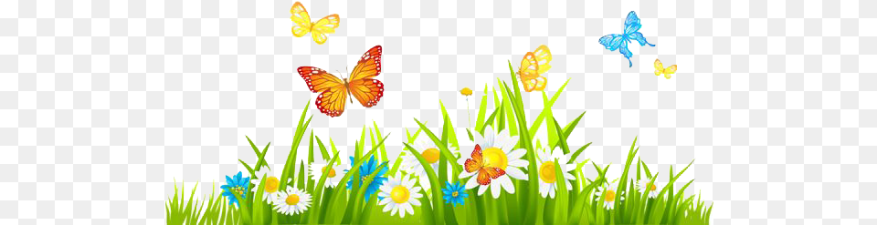Spring Flowers With Butterfly Clipart, Daisy, Flower, Plant, Nature Free Transparent Png