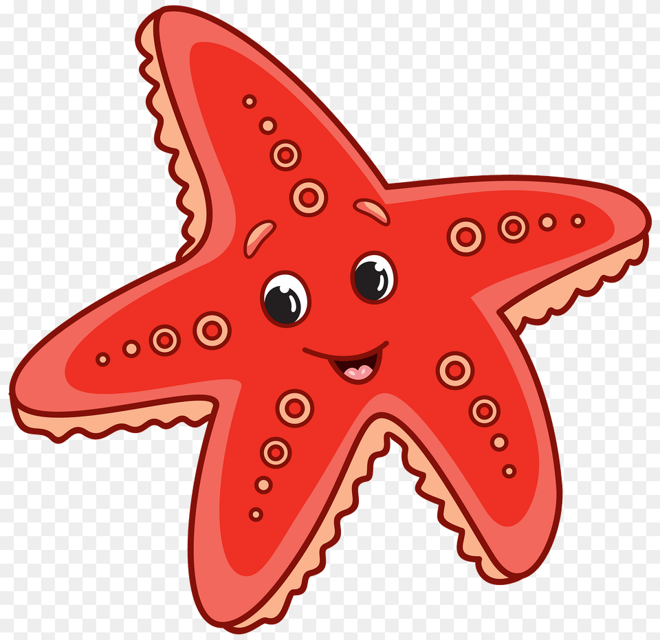 Starfish Cliparts Download Clip Art Clipart Of Star Fish, Animal, Sea Life, Shark Free Png