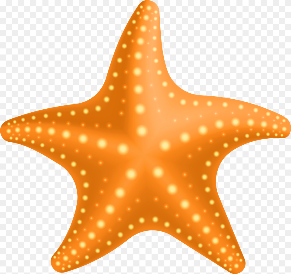 Starfish Cliparts Transparent Background Starfish Clip Art Free Png Download