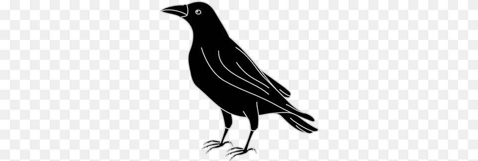 Stock Index Of Crow Svg, Animal, Bird, Blackbird, Fish Free Transparent Png