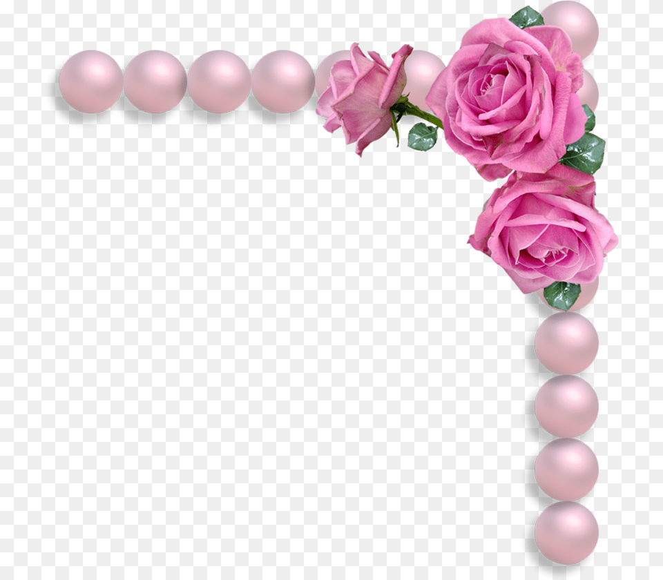 String Of Pearls Pink Rose And Pearls, Accessories, Flower, Plant, Jewelry Free Png