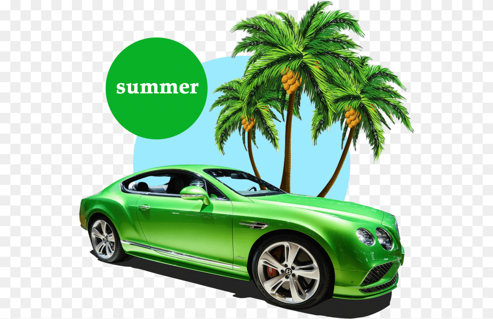 Summer Palm Tree U2013 Vector Psd Cartoon Date Tree, Alloy Wheel, Vehicle, Transportation, Tire Free Png Download