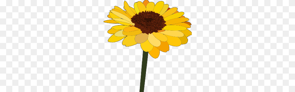 Free Sunflower Clipart Sunflower Icons, Daisy, Flower, Plant, Petal Png