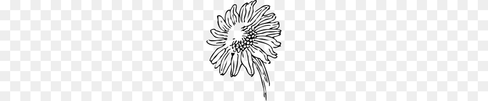 Free Sunflower Clipart Sunflower Icons, Gray Png Image