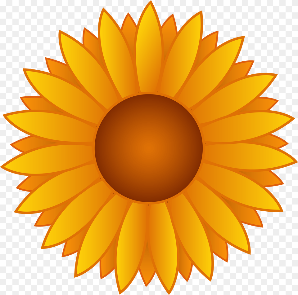 Sunflower Clipart Transparent Background Download Cute Sunflower Clipart, Daisy, Flower, Plant, Petal Free Png