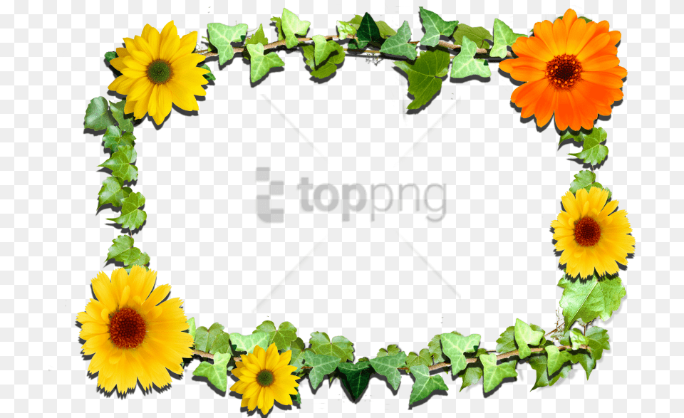 Free Sunflower Frame Image With Transparent Printable Design Floral Border, Flower, Plant, Daisy, Petal Png