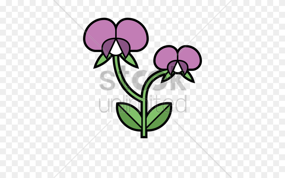 Sweet Pea Vector, Flower, Plant, Orchid, Petal Free Png Download