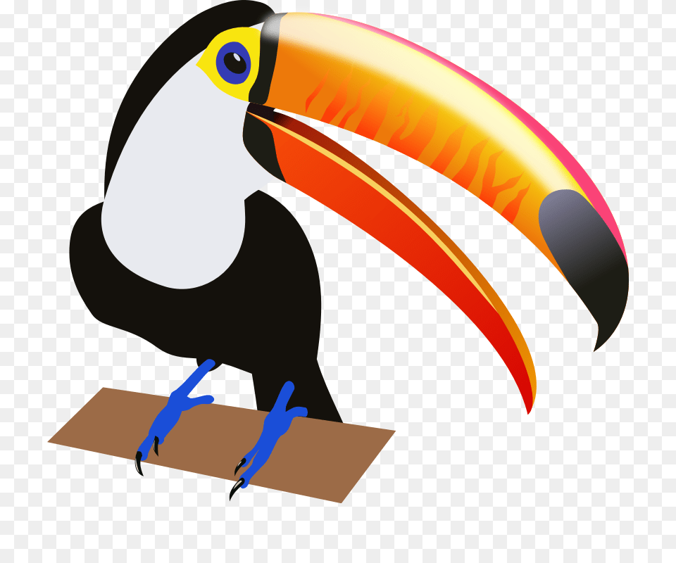 To Use, Animal, Beak, Bird, Toucan Free Png