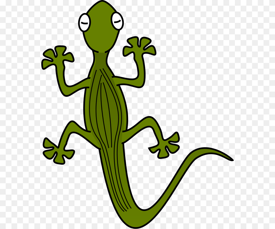 Free To Use, Animal, Gecko, Lizard, Reptile Png Image