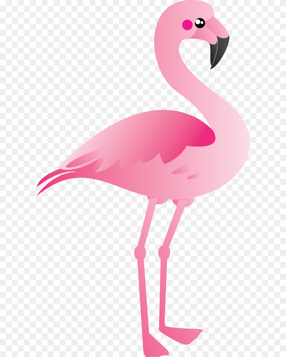 Free To Use, Animal, Bird, Flamingo Png