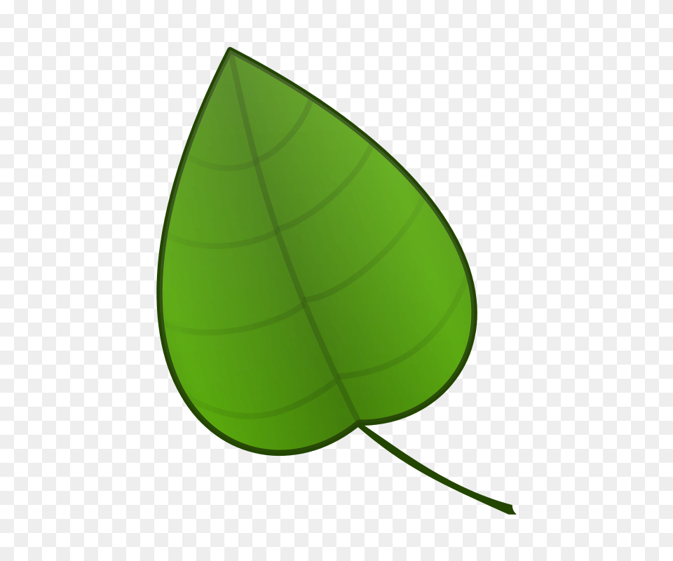 To Use, Leaf, Plant, Astronomy, Moon Free Transparent Png