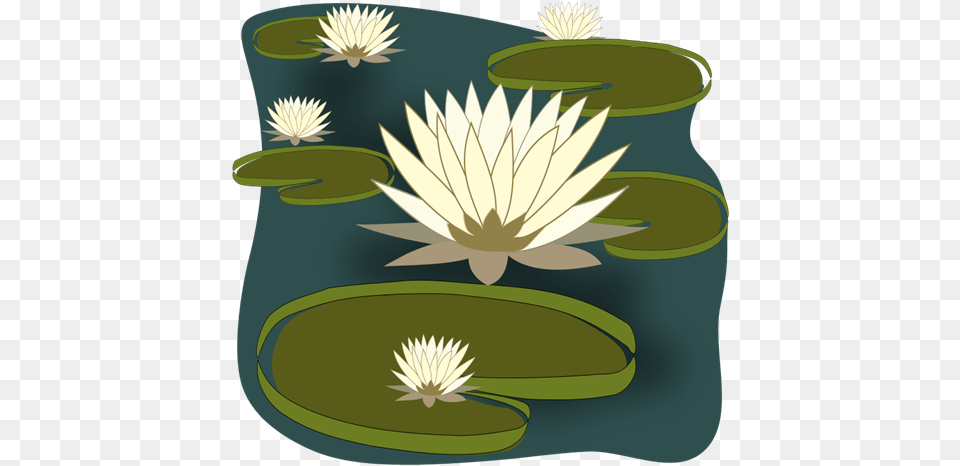 To Use Amp Public Domain Water Lily Clip Art Clipart Of Water Lily, Flower, Plant, Pond Lily Free Png