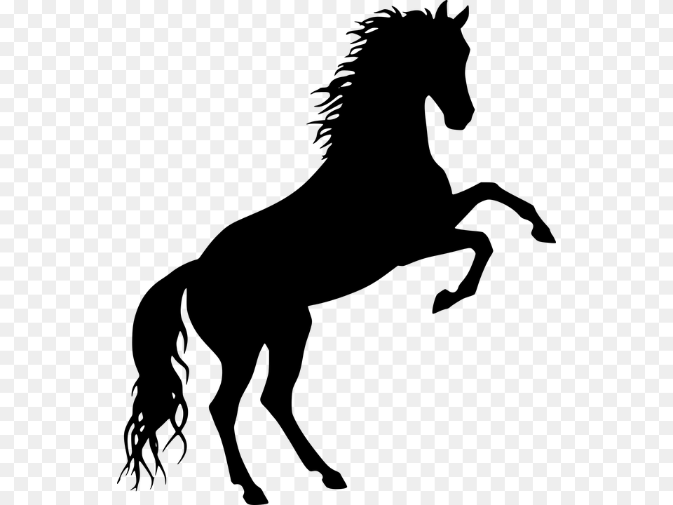 Free To Use Horse Silhouette, Gray Png Image