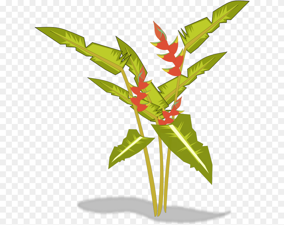 To Use Public Domain Plants Clip Art Tropical Plant Transparent Clipart, Flower, Flower Arrangement, Leaf, Vegetation Free Png