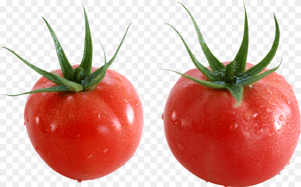 Free Tomato Transparent Download Tomate Cherry Png