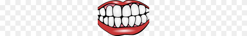 Free Tooth Clipart Cow Clipart House Clipart Online Download, Body Part, Mouth, Person, Teeth Png