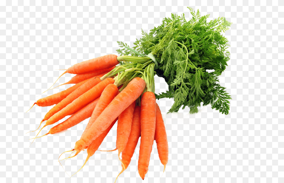 Free Toppng Transparent Svg Royalty Free Transparent Background Carrot, Food, Plant, Produce, Vegetable Png