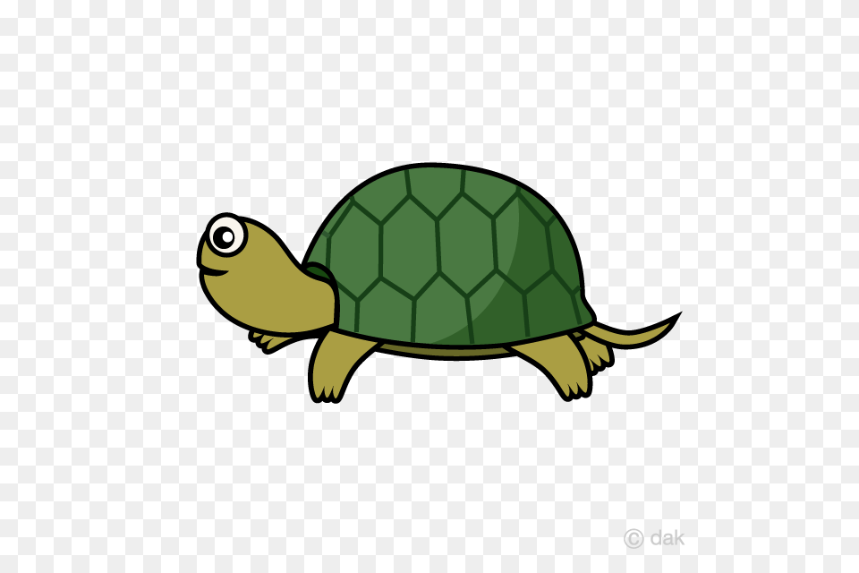 Free Tortoise Seen From The Side Cartoon Clipart, Animal, Reptile, Sea Life, Turtle Png