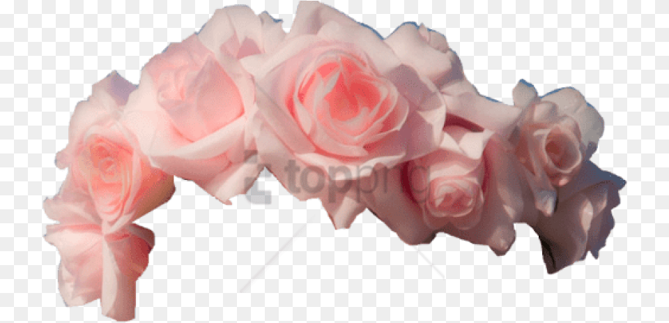 Transparent Flower Crown Image With Pink Flower Crown, Flower Arrangement, Flower Bouquet, Petal, Plant Free Png