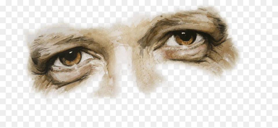 Man Eyes Image With Man Eyes Head, Person, Portrait, Art Free Transparent Png