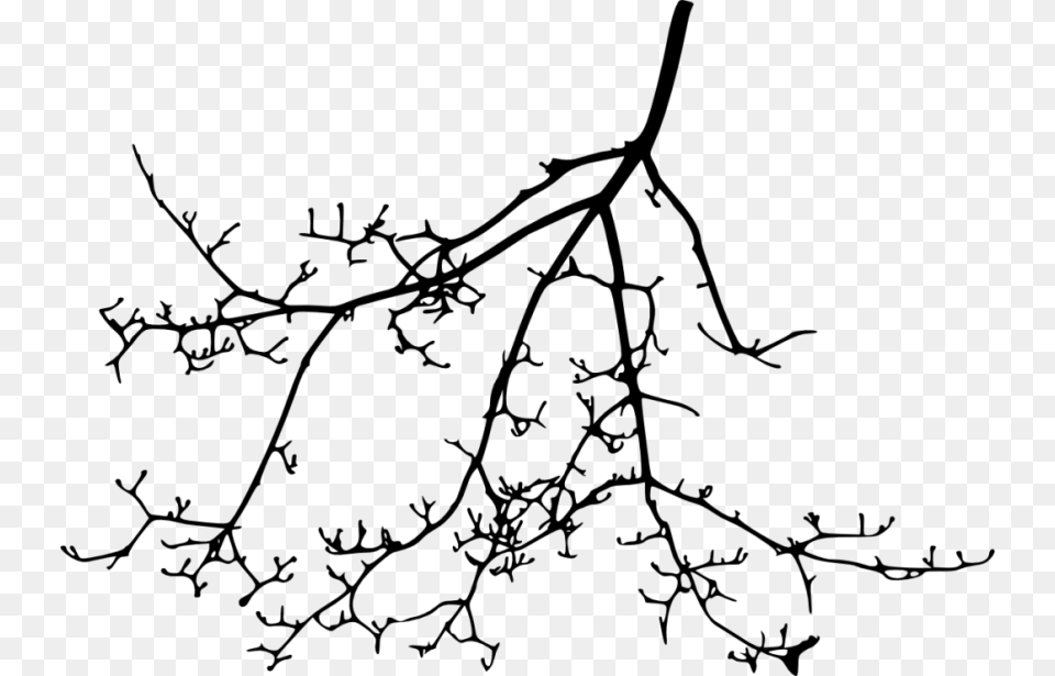 Tree Branch Silhouette Transparent Portable Network Graphics, Leaf, Plant, Flower, Pattern Free Png Download