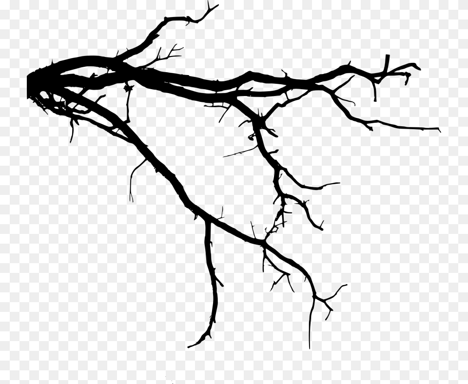 Free Tree Branch Transparent Tree Branch Silhouette, Art, Plant, Person Png