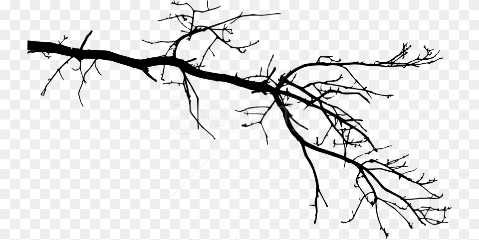 Free Tree Branch Tree Branch Drawing Transparent, Art, Person Png