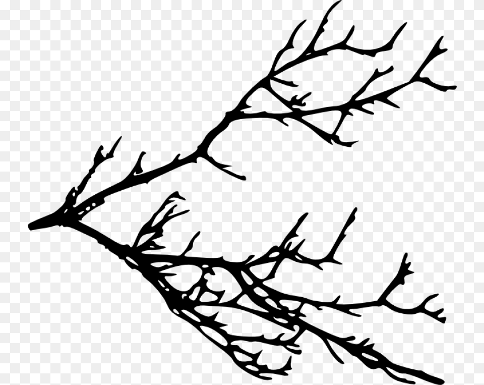 Free Tree Branches Silhouette Transparent Clip Art Tree Branches, Gray Png